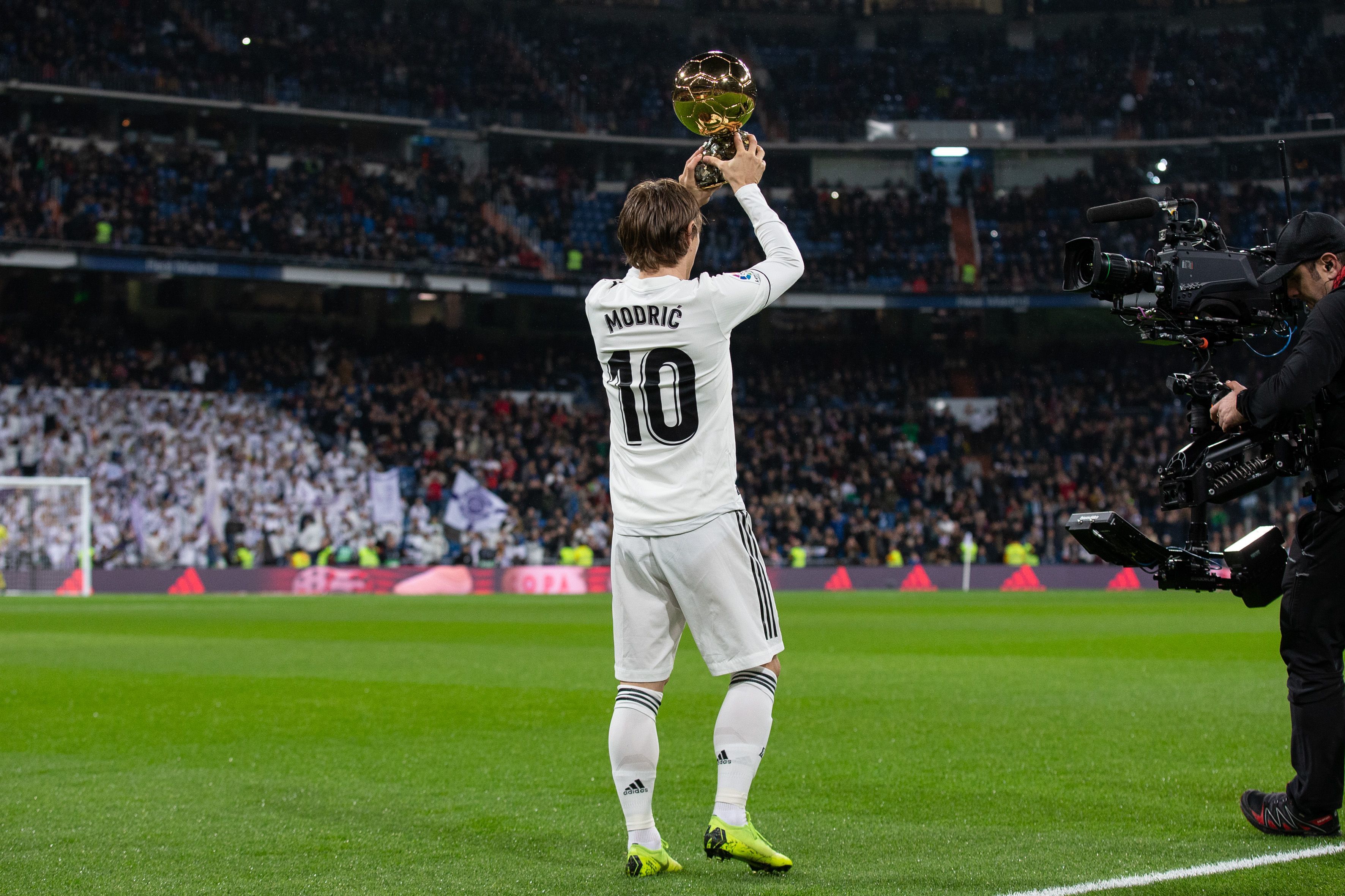 为什么高手更相信概率（高手为何更倚重概率）